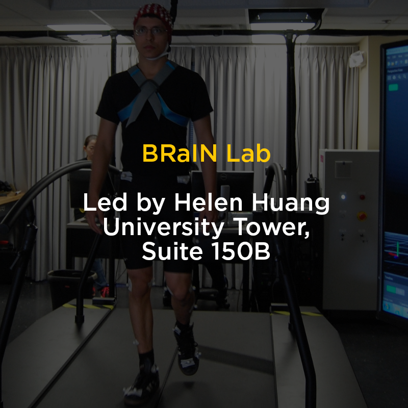 Graphic of Helen Huang's lab