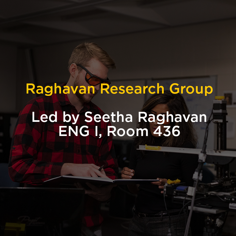 Graphic for Seetha Raghavan's lab