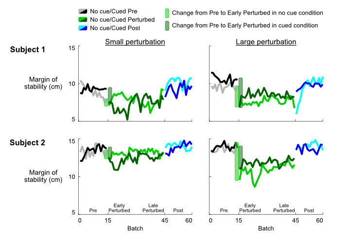 1) Both subjects reduced margin of stability from pre to early perturbed for all perturbations except the no cue small perturbation, suggesting that the belt decelerations perturbed baseline walking and balance. 2) The two subjects gradually increased margin of stability from early to late perturbed back towards baseline (pre), suggesting that subjects seemed to be adapting to all perturbations. 3) The magnitude of the decrement in margin of stability was greater with cueing compared to no cueing for the small perturbation.  4) For both subjects, the reduction in margin of stability from pre to early perturbed for the large perturbation was larger compared to the small perturbation, regardless of visual cueing, which indicates that larger perturbations were more challenging.