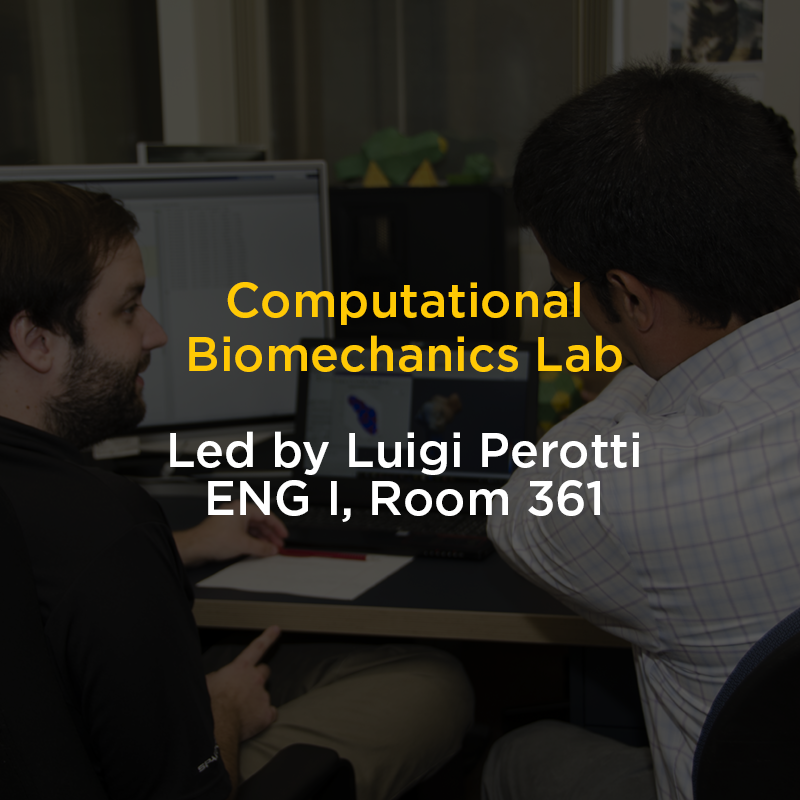 graphic of computational biomechanics lab